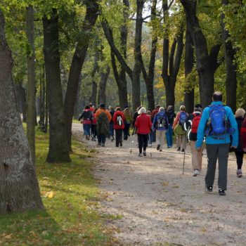 Erfolgswandertag im Wiener Prater